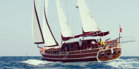 a cruise diving on board a warm schooner
