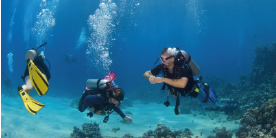 los mejores fondos para el buceo